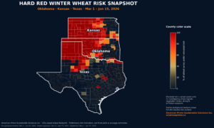 Weather Risks and the 2026 U.S. Wheat Crop: Insights from the APSS Intelligence Platform