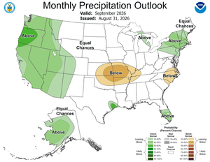 Winter Wheat at a Crossroads: Market Opportunity Meets Weather Risk